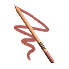 ARTIST COLOR PENCIL