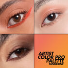 ARTIST COLOR PRO PALETTE ($95 VALUE)